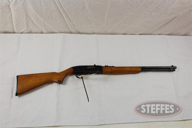  Winchester 190_1.jpg